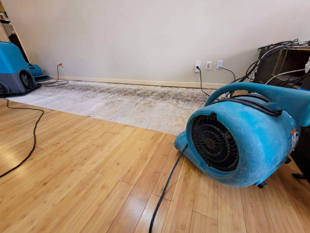 Professional Structural Drying technician working in Ionia, MI